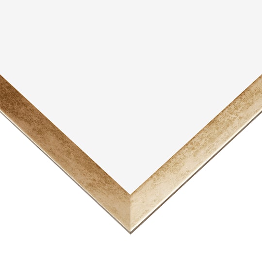 Craig Frames Alloy Aged Gold Picture Frame